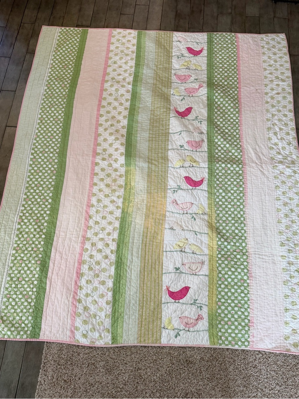 Pottery Barn Kids Pink & Green Stripe Bird Quilt 5 Piece Twin Bundle